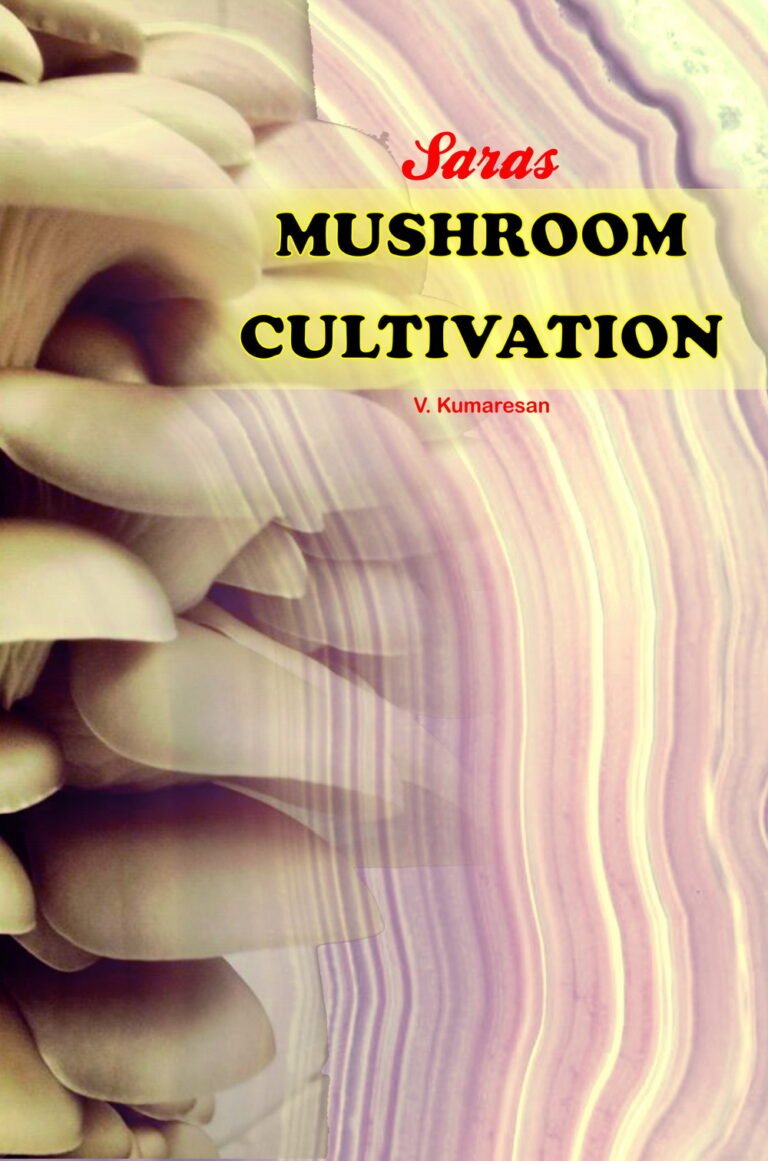 Mushroom essay picture