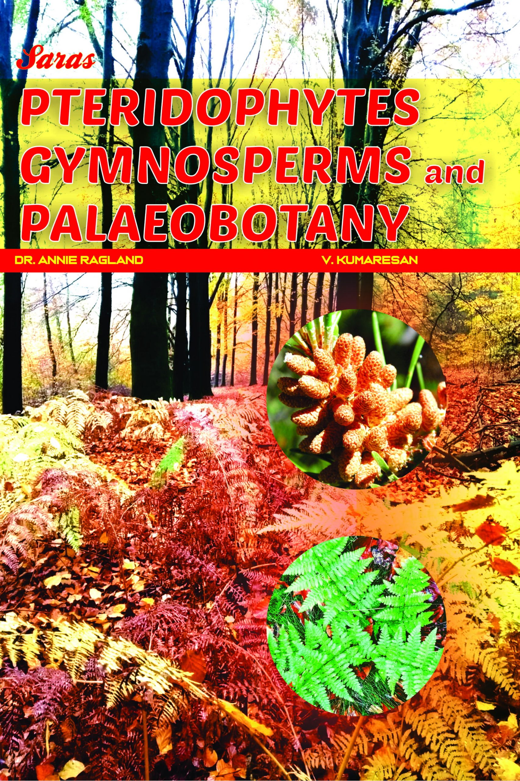Pteridophytes Gymnosperms and Palaeobotany