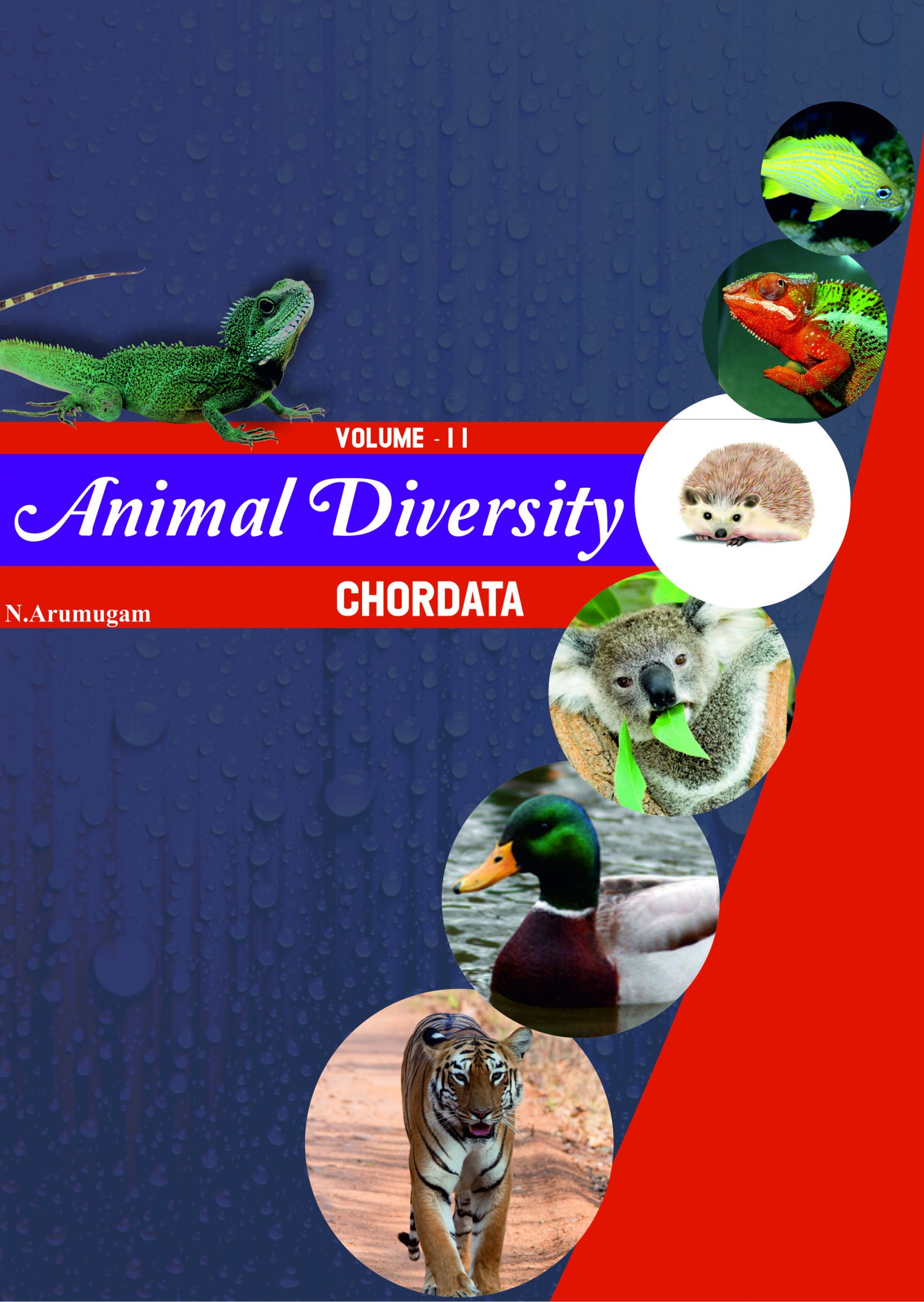 Animal Diversity – Volume – 2 – Chordata – Saras Publication – Books for  NEET, School Guides, NET, TRB, CBSE, NCERT, Life Science