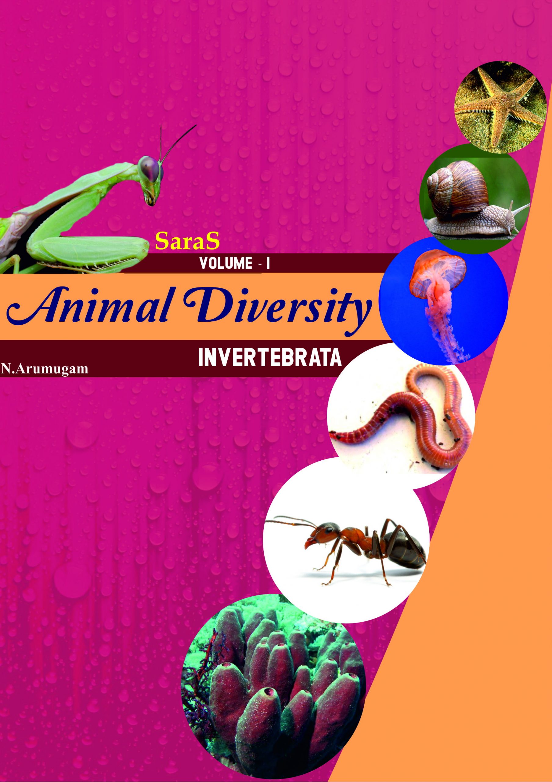 Animal Diversity – Volume – 1 – Invertebrata – Saras Publication – Books  for NEET, School Guides, NET, TRB, CBSE, NCERT, Life Science
