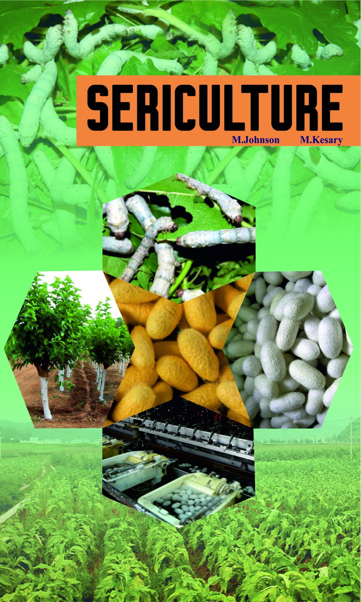 write an essay on sericulture