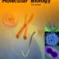 Cell Biology and Molecular Biology