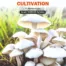 Fundamentals of Mushroom Cultivation